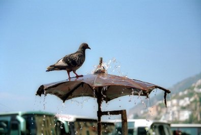 Amalfi_2003_1007