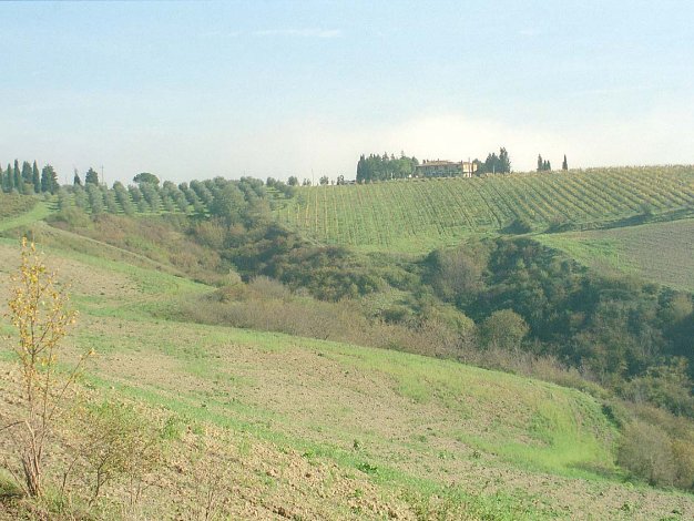 6 - Siena & Tuscany