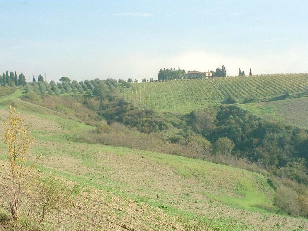 6 - Siena & Tuscany