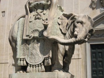IMG_0727 Bernini's Elephant