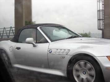 IMG_2009 Freebie in the rain