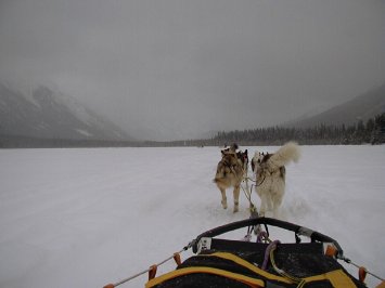 Dog_Sled_Over_Lake